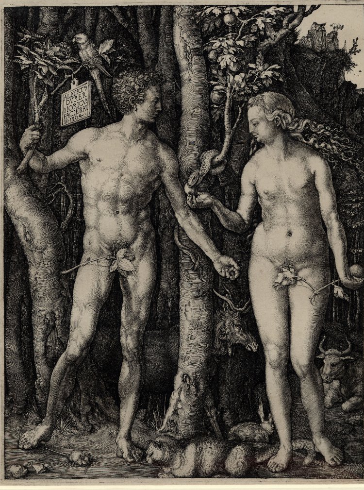 Image of Adam and Eve by Albrecht Durer